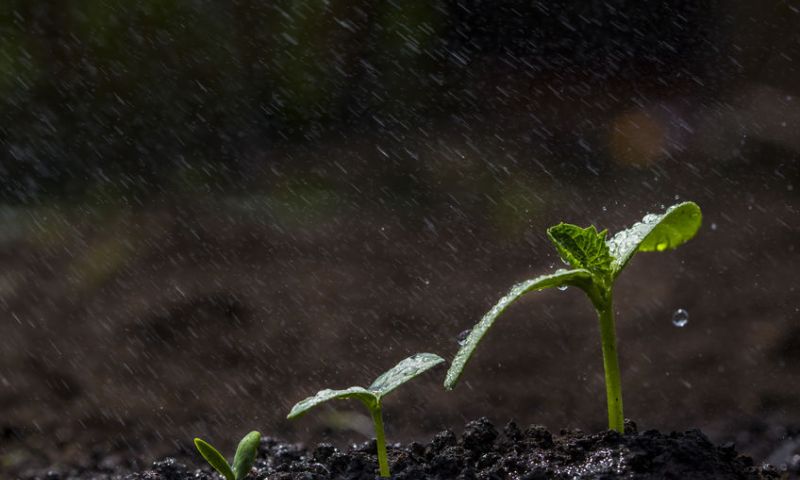 EQUINOCCIO DE PRIMAVERA MARZO 20 DE 2021