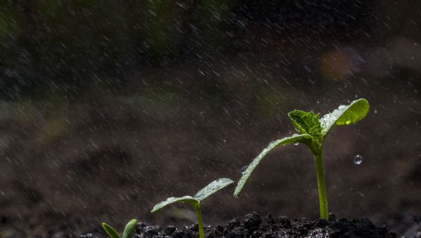 EQUINOCCIO DE PRIMAVERA MARZO 20 DE 2021